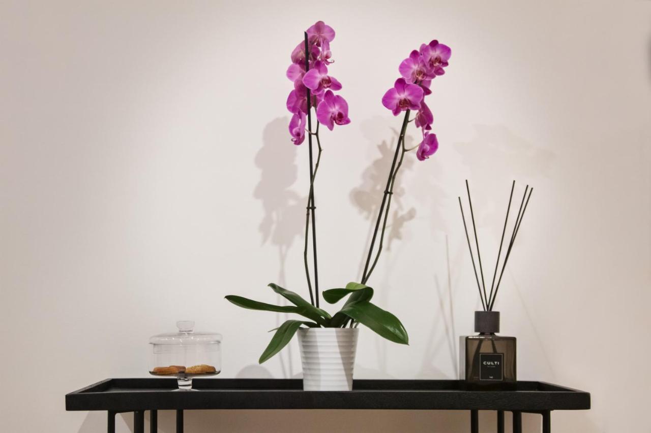 Fellini Design Affittacamere Roma